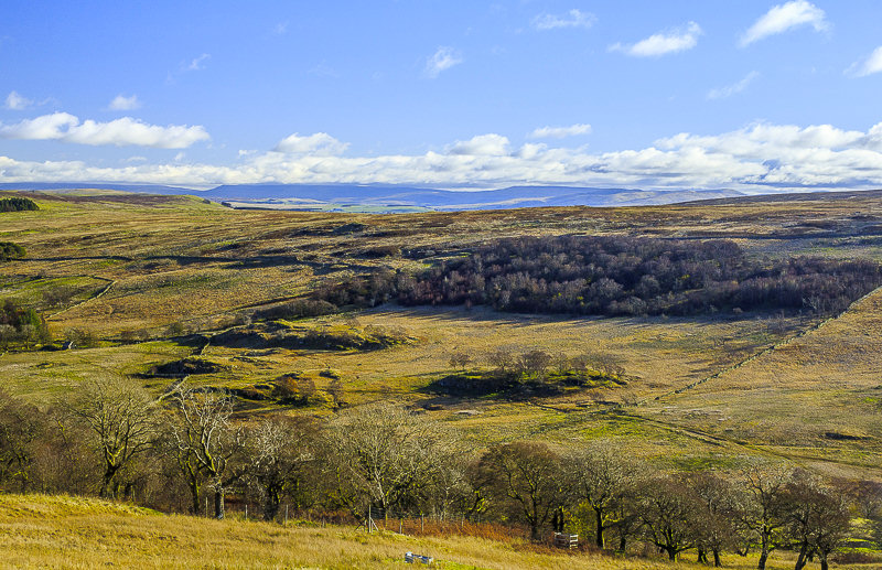 Howgills Howgills